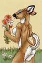 206_1262401315.xianjaguar_wildflowersdoe.jpg