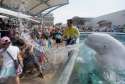 WELCOME TO SEA WORLD.jpg