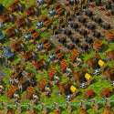 Siedler-4.png