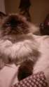 IMAG0268.jpg