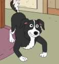 I fukken love being a dog.png