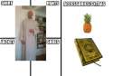 1461432352069 (1).png