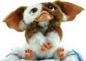 mogwai.jpg