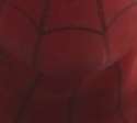 spider-chin.jpg