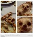 Dog-Face.png