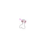 pinis?.png