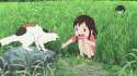 2526.gif