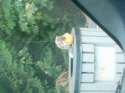 2012-09-27_14-39-10_895.jpg
