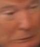 the donal.png