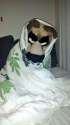 Furrito.jpg