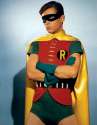 robin_06.jpg