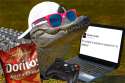 gamer_gator.png