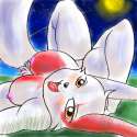 Zangoose7.jpg