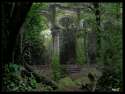 old forest castle.jpg