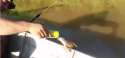drinking fish.gif