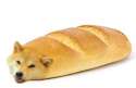 Doge_Bread_4.jpg