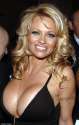 1409587097003_Image_galleryImage_Pamela_Anderson_attends_t.jpg