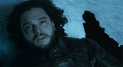 image.gif