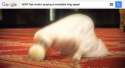 very fast mudslime prays to satan to make him even faster.jpg