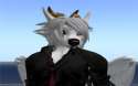 Whitewolf.jpg