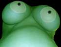 Sad-Frog.jpg