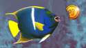 blue8.jpg