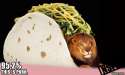 tacocat.jpg
