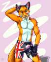 1384809932.vallhund_undies-orithan2_2-02.png
