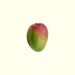 mangue_small.png