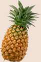 pineapple-2.png