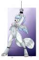 1455342168.olisnowpaw_kittai_02122016.jpg