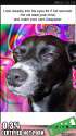 f545fd5c674b48d6b52cb3bc2c84ae8e.png