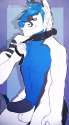 1435201522.dominate_crashfennec1.png