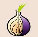 tor_logo_by_stanchenko-d7t716u[1].png