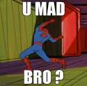 spideymadbro.jpg