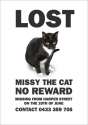 missing_missy5.jpg