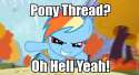 pony3.jpg
