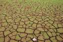 DROUGHT_4701f.jpg
