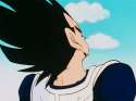 4556.gif