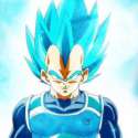 VEGETA.jpg