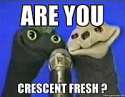 thumb-Cres Fresh.jpg