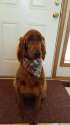 Resized_20160330_123613.jpg
