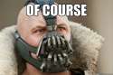 3796296-of+course.jpg