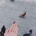 rekt6.gif