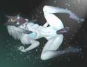 kindred_1.png