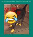 KEKE.png