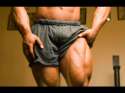 quads.jpg