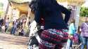 SpyPhoto_20151218_111210437-8.jpg