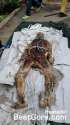 decomposing-corpse-pulled-storm-drain-thailand-09.jpg
