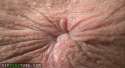 1336024087474.gif